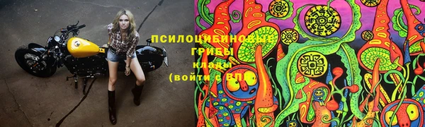 альфа пвп Богородицк