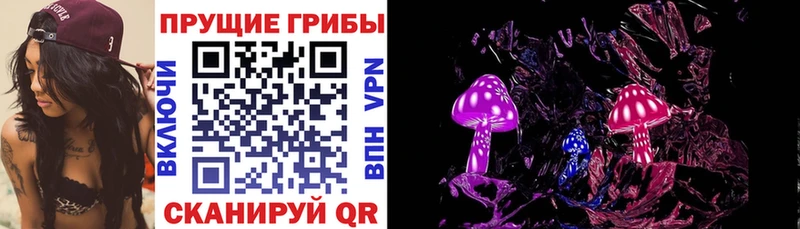 закладки  Верещагино  Псилоцибиновые грибы Psilocybine cubensis 